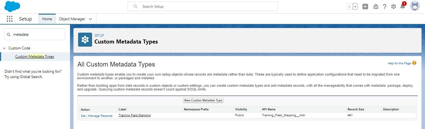 Custom Metadata Types